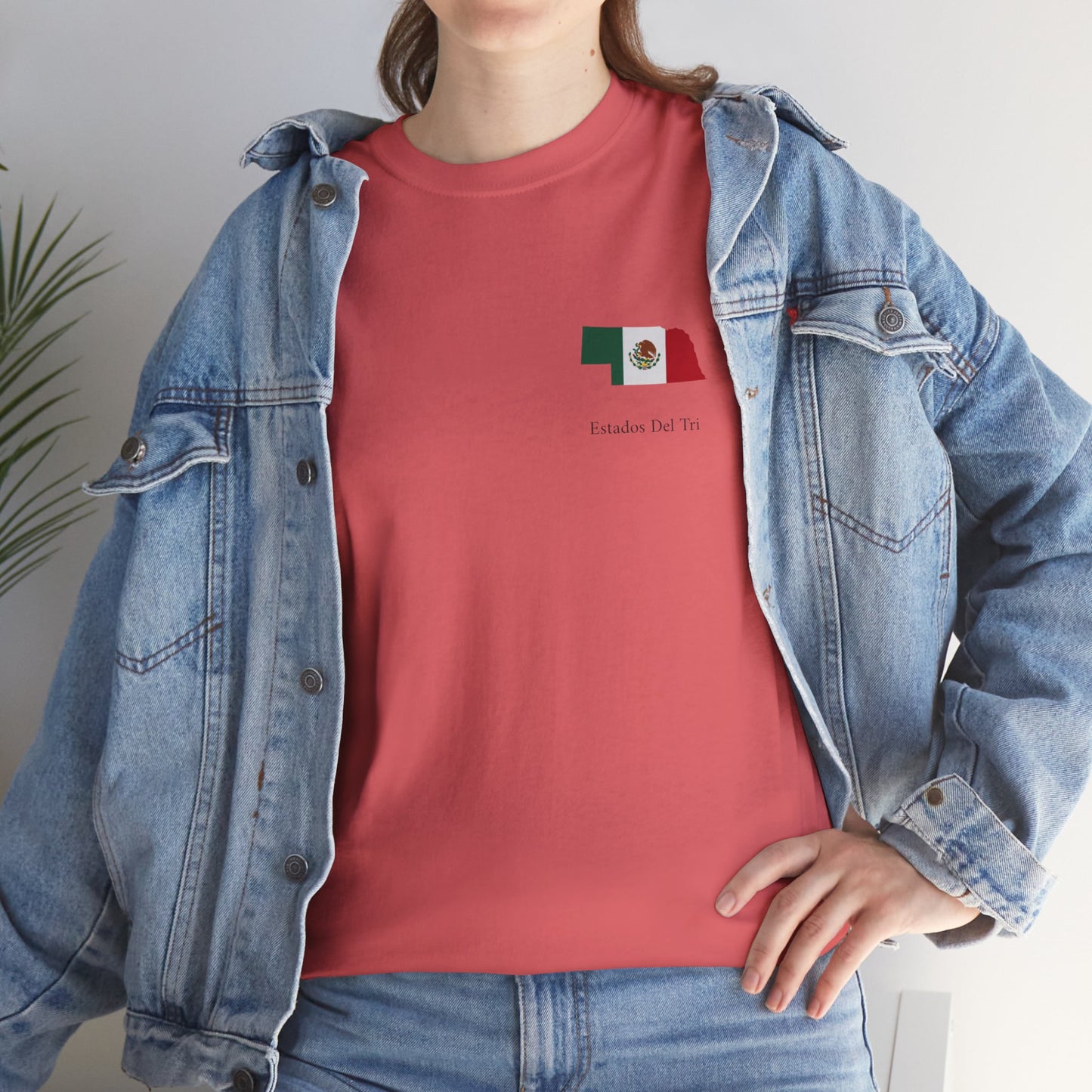 Estados Del Tri - Nebraska Tee